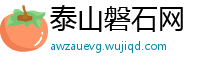 泰山磐石网